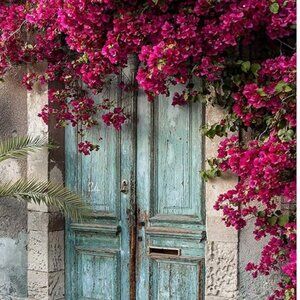 Kate 5x7ft Vintage Blue Barn Wood Door Photography Backdrop Spring Scene Nature